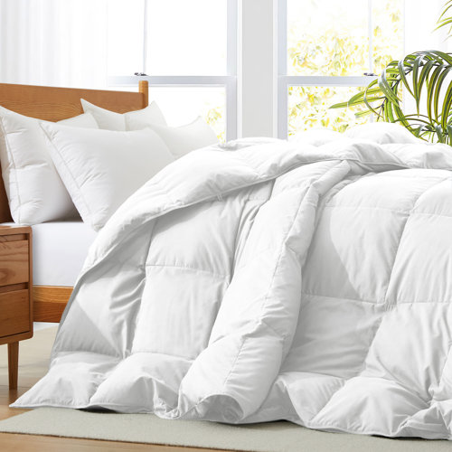 The Twillery Co. 600 Fill Power All Seasons Down Comforter & Reviews Wayfair Canada